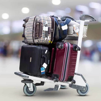 International excess Baggage Courier Service